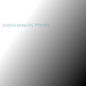 无码AV无码免费一区二区
