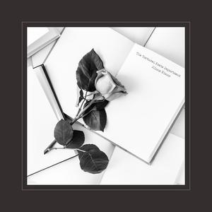 无码AV无码免费一区二区
